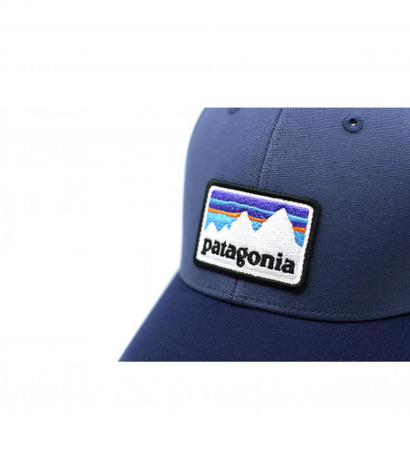 blue Patagonia trucker patch